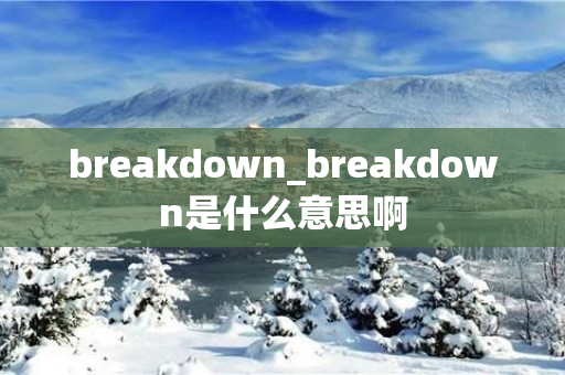 breakdown_breakdown是什么意思啊
